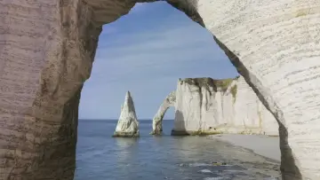 Backdrop to the movie "Terre, Les Forces du Vivant" #1286183