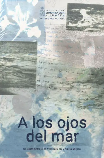 Poster to the movie "A los ojos del mar" #826610