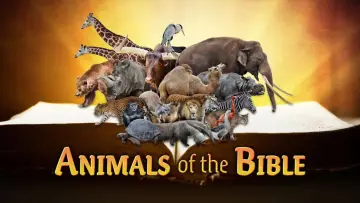 Backdrop to the movie "Animals of the Bible" #1624251
