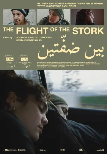 The Flight of the Stork