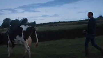 Backdrop to the movie "Un été à la ferme - L