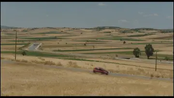 Backdrop to the movie "Rooster" #1647195