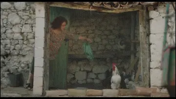 Backdrop to the movie "Rooster" #1647205