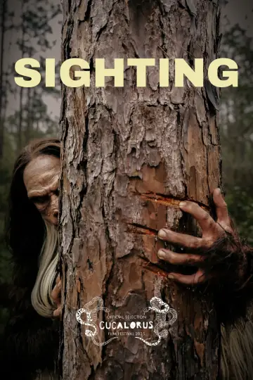 Poster to the movie "Sighting" #1166695