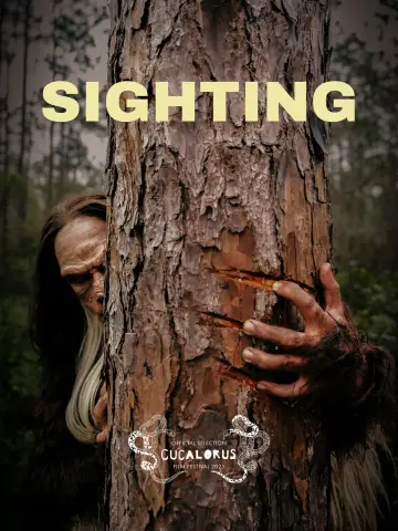 Poster to the movie "Sighting" #1166696