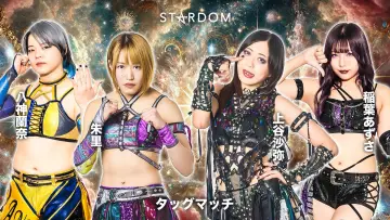 Backdrop to the movie "Stardom 15th Goddesses of Stardom Tag League ~Finals~ in Hamamatsu" #972994