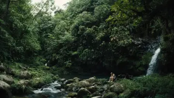 Backdrop to the movie "Pescador" #923569