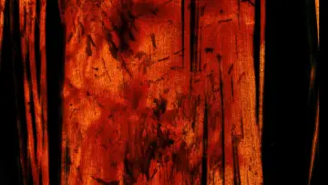 Backdrop to the movie "House of Death" #977906