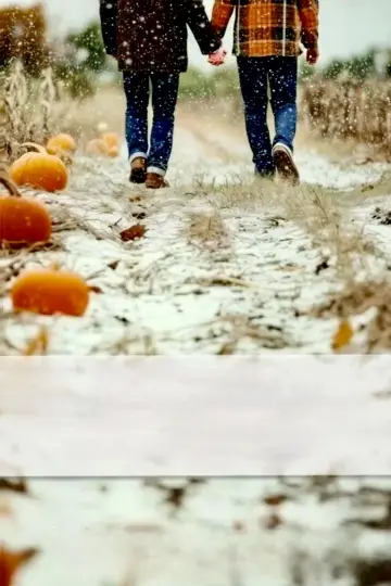 Poster to the movie "Snow Falling on Pumpkins" #691695