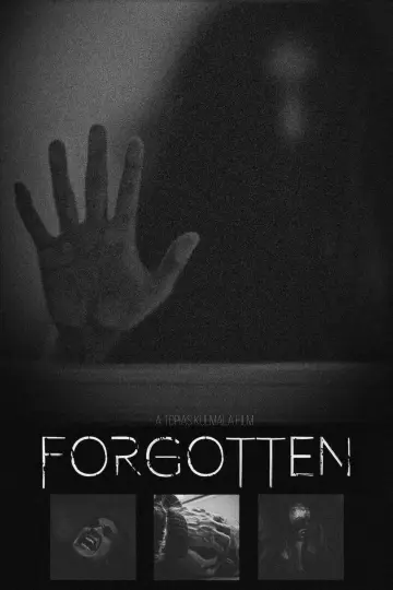Poster to the movie "Forgotten" #774714