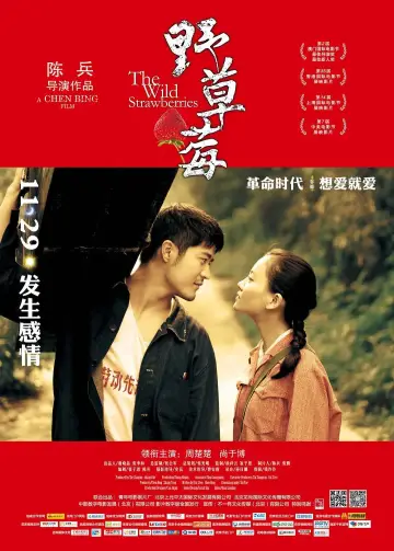 野草莓 poster