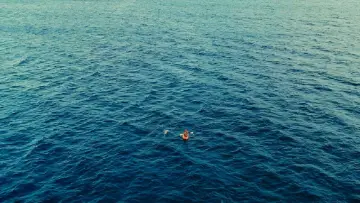 Backdrop to the movie "Don