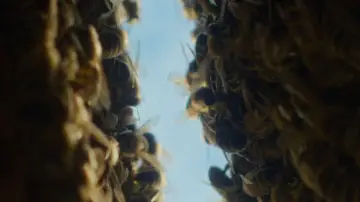 Backdrop to the movie "The Quiet Beekeeper" #691037