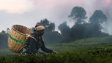 Backdrop to the movie "Kikuyu Land" #934534