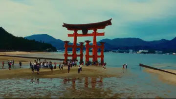 Backdrop to the movie "Distant Memories" #574579
