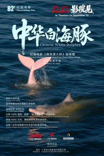 Poster to the movie "中华白海豚" #936028