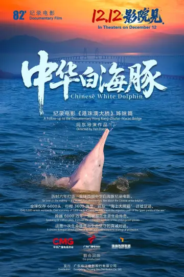 Poster to the movie "中华白海豚" #936029