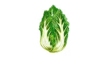 Backdrop to the movie "Cabbage Daddy" #547690