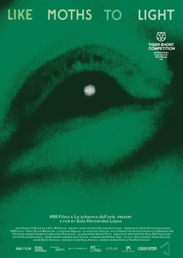 like moths to light poster