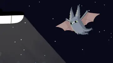 Backdrop to the movie "Bats & Bugs" #539933