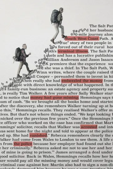 Poster to the movie "The Salt Path Scandal" #862681