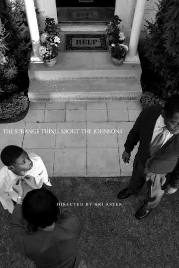 Poster to the movie "The Strange Thing About the Johnsons" #1044401