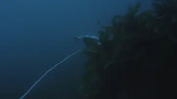 Backdrop to the movie "Mermaid Legend" #1621970
