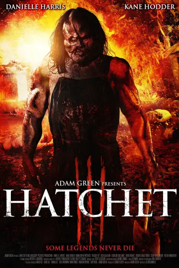 Poster to the movie "Hatchet III" #1058428