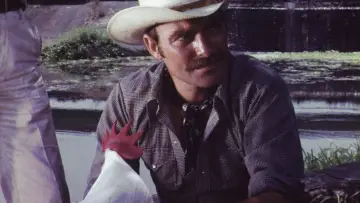 Backdrop to the movie "Supercock" #694181