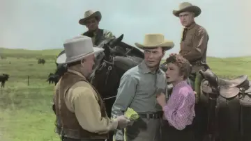 Backdrop to the movie "Texas Lady" #691910