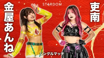 Backdrop to the movie "Stardom New Year Dream 2026 ~Night~" #544827