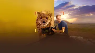 Backdrop to the movie "Cheetahs Up Close with Bertie Gregory" #539398