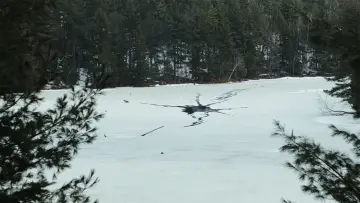 Backdrop to the movie "Radiant Frost" #543555