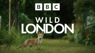 Backdrop to the movie "Wild London" #540339