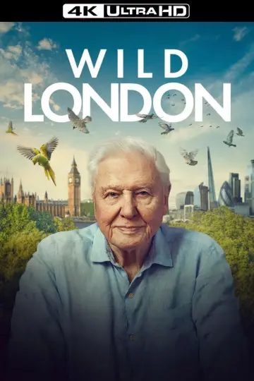 Poster to the movie "Wild London" #540344