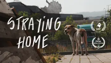 Backdrop to the movie "Straying home" #968889