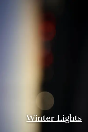 Poster to the movie "Winter Lights" #780856