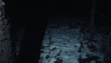 Backdrop to the movie "crow.mp4" #1213902