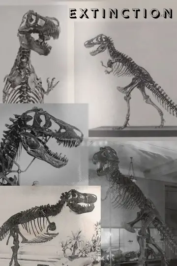 Extinction poster