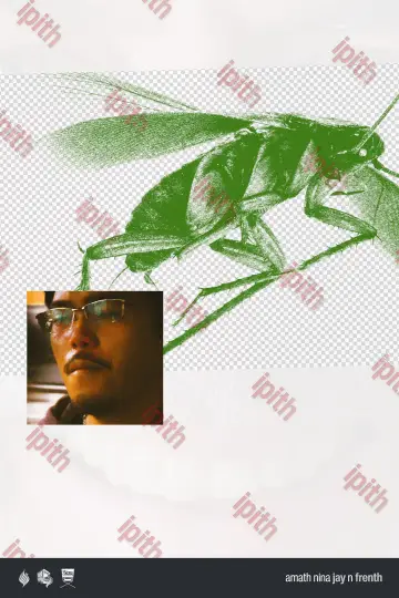 cockroach