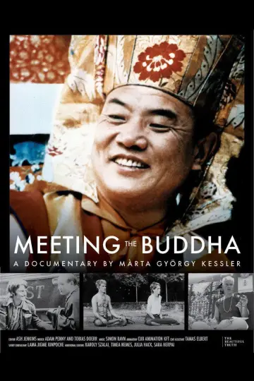 Poster to the movie "Meeting the Buddha" #842570