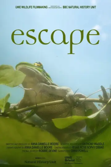 Poster to the movie "Escape" #803040