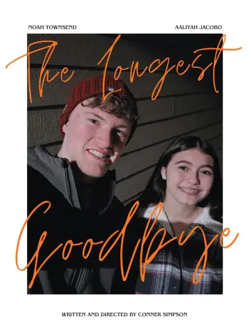 The Longest Goodbye poster