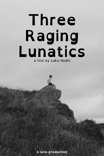 Three Raging Lunatics poster