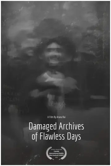Poster to the movie "Damaged Archives of Flawless Days" #1140128