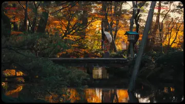 Backdrop to the movie "Lost in Japan" #571786