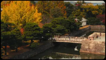 Backdrop to the movie "Lost in Japan" #571846