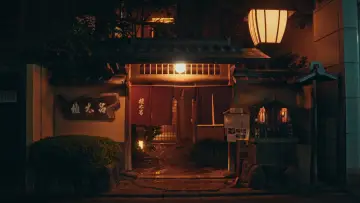 Backdrop to the movie "Streets of Japan" #563105