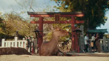 Backdrop to the movie "Streets of Japan" #563174