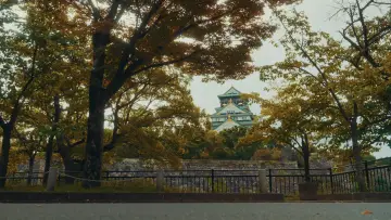 Backdrop to the movie "Streets of Japan" #563197